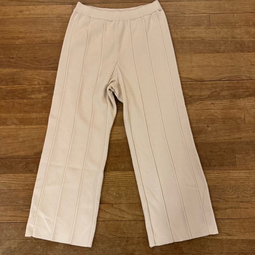 Daisy cream high-rise net wide leg cropped pants size XL
b33